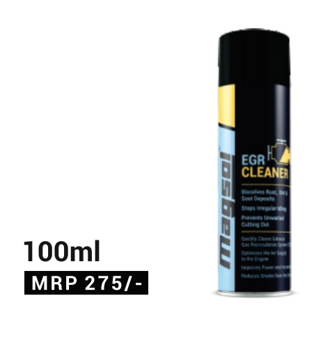 EGR CLEANER 