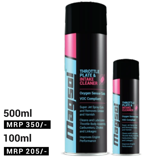 THROTTLE PLATE & INTAKE CLEANER